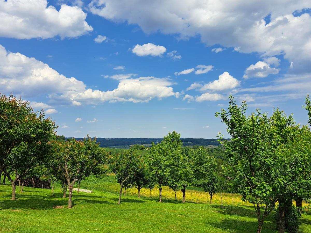 Appartement Schober Kukmirn Екстер'єр фото
