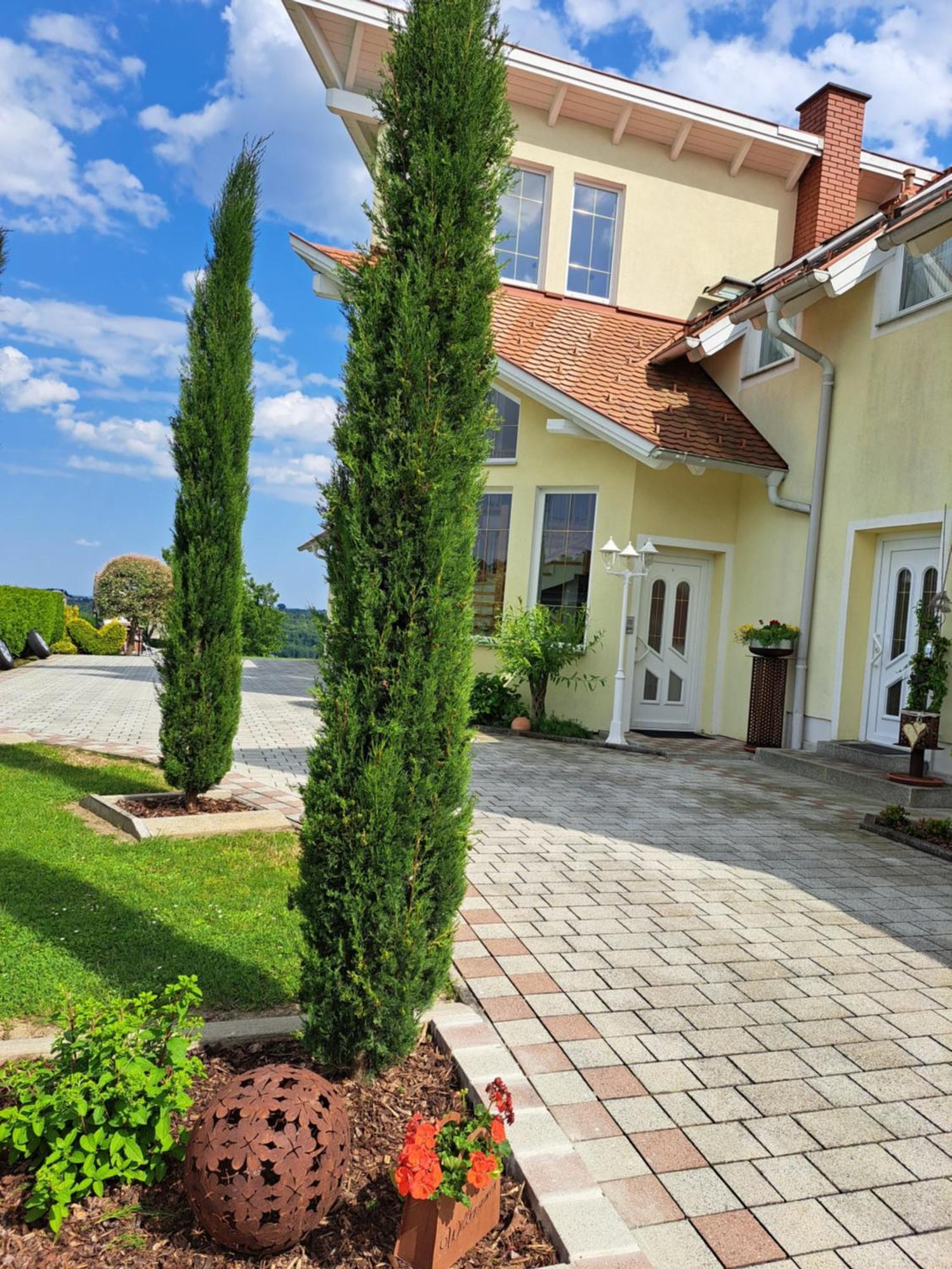 Appartement Schober Kukmirn Екстер'єр фото